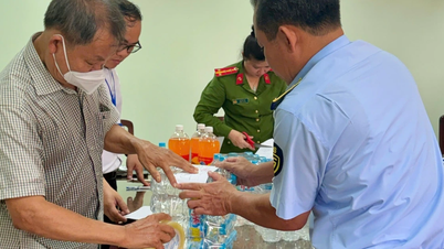 La squadra interagenzie centrale n. 4 ispeziona i lavori di garanzia della sicurezza alimentare a Gia Lai.