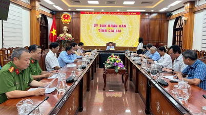 Sono state intraprese azioni decisive per affrontare il sospetto caso di intossicazione alimentare nel quartiere di Quy Nhon Dong.