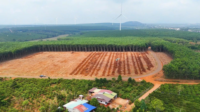 Progetto componente 3 dell'autostrada Quy Nhon - Pleiku: Attuazione urgente delle aree di reinsediamento.