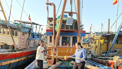 Risolvere il problema dei pescherecci: eliminare il collo di bottiglia della pesca illegale, non dichiarata e non regolamentata, ricostruire l'industria della pesca - Parte finale: decisiva ma ragionevole ed equa.