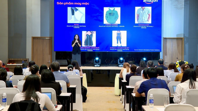 Gia Lai: Promuovere le esportazioni online attraverso il commercio elettronico transfrontaliero.