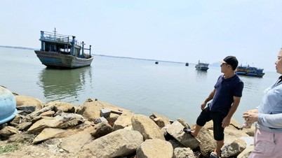 Risolvere il problema dei pescherecci: eliminare i colli di bottiglia della pesca illegale, non dichiarata e non regolamentata, ricostruire l'industria della pesca - Parte 1: La "matrice" di imbarcazioni che non soddisfano i requisiti operativi.