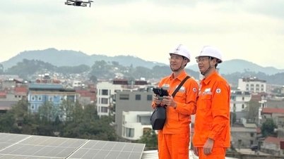 EVNNPC: Innovazione e tecnologia digitale