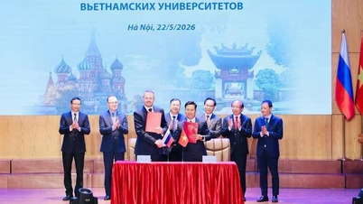 Sono stati firmati quasi 50 accordi di cooperazione tra istituzioni educative vietnamite e russe.