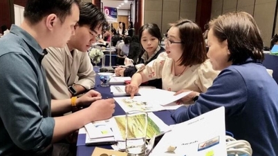 Vietnam - Thailandia: Molti aspetti positivi nella cooperazione economica e commerciale.