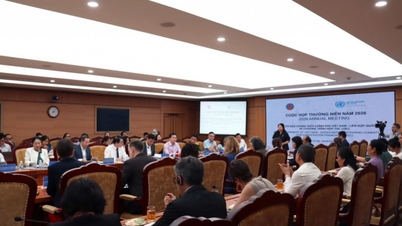 Il Vietnam e le Nazioni Unite promuovono la cooperazione per lo sviluppo sostenibile.