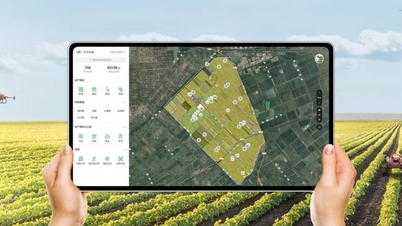 Sviluppo di dati digitali per i settori dell'agricoltura e dell'ambiente, collegati a cittadini e imprese.