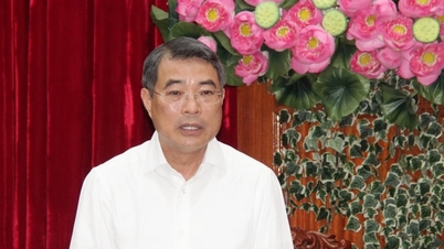 Il Primo Ministro ha esortato Vinh Long ad adottare con decisione una mentalità orientata allo sviluppo.
