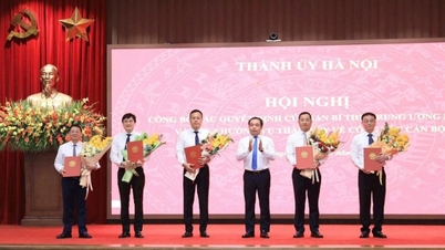 Hanoi trasferisce e nomina una serie di dirigenti a livello di dipartimento, quartiere e comune.