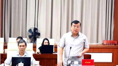 A Hai Phong è in corso la revisione di oltre 1.000 documenti legali.