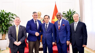 Per approfondire, stabilizzare e rafforzare il partenariato strategico globale tra Vietnam e Stati Uniti.