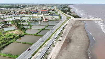 Ninh Binh concentra i suoi sforzi su progetti di economia marittima.