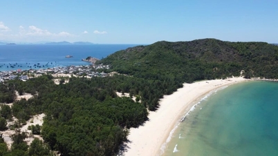 Xuan Canh "stende il tappeto rosso" per attrarre investimenti per lo sviluppo del turismo.