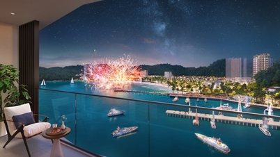 La "carta vincente" per riposizionare Cat Ba sulla mappa del turismo di lusso.