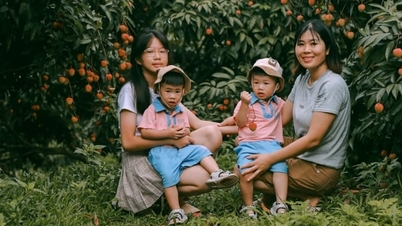 Con i suoi 143 splendidi frutteti di litchi, Bac Ninh promuove il turismo esperienziale.