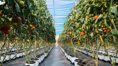 Bayer rafforza la sua posizione di polo agricolo in Thailandia.