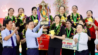 VTV9 - Coppa Binh Dien: Due decenni di impegno costante per mantenere viva la fiamma della pallavolo vietnamita.