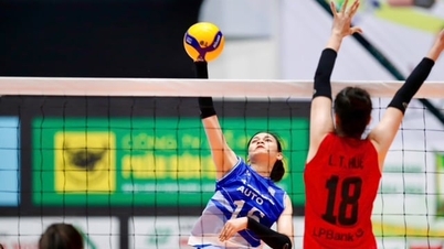 Programma e informazioni sulla trasmissione delle finali della Coppa di pallavolo femminile VTV9-Binh Dien 2026