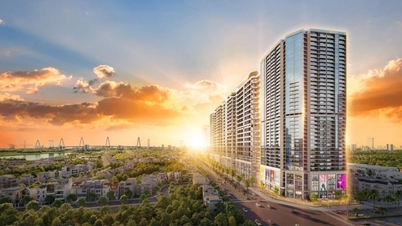 Uno sguardo più da vicino alla collezione di materiali pregiati del Noble Crystal Tay Ho WorldHotels Residences