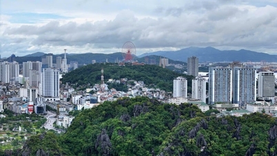 Quang Ninh si posiziona tra le prime 7 province a livello nazionale per la pulizia dei dati relativi al territorio.