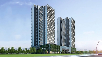 La città di Ho Chi Minh ha risolto i problemi relativi al rilascio dei certificati di proprietà agli acquirenti di immobili per altri 4 progetti.