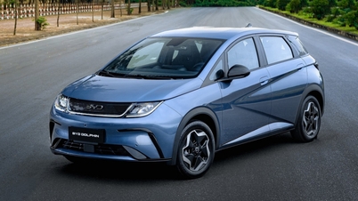 BYD Vietnam lancia la nuova BYD DOLPHIN, con un prezzo sorprendente a partire da 499 milioni di VND.