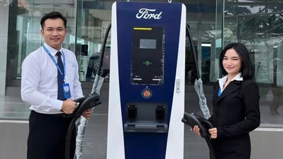 Ford Vietnam migliora l'esperienza per i clienti di veicoli elettrici.