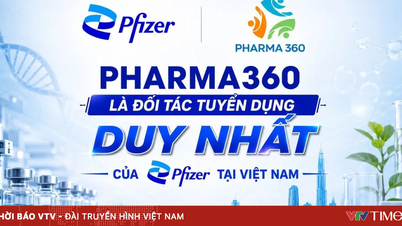 Pharma360 è l'unico partner di Pfizer per il reclutamento in Vietnam.
