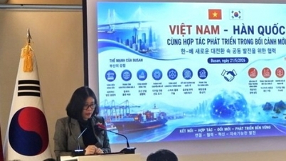 Seminario "La cooperazione tra Vietnam e Corea per lo sviluppo nel nuovo contesto" a Busan