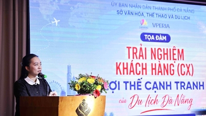 Der Tourismus in Da Nang strebt nach professionellen Servicestandards und vielfältigen Erlebnissen.