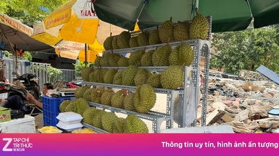 Durians baratos inundam a cidade de Ho Chi Minh: qual é a qualidade?