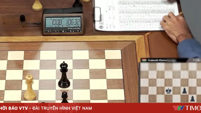 Вьетнамская шахматная федерация отвечает на запрос ФИДЕ о подтверждении двух курсов профессиональной подготовки.