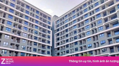 Da Nang: Arsa fiyatları, konut talebini aşarak metrekare başına 340 milyon VND'yi geçti.