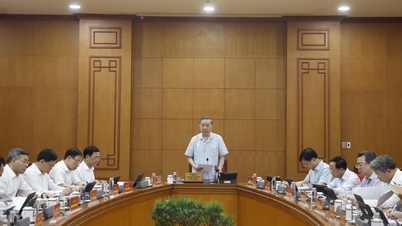 Temel bilimlerde yenilik: kalkınma için stratejik bir itici güç.