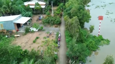 È stata dichiarata la situazione di emergenza a causa di una frana sulla sponda settentrionale del canale Duong Van Duong, nel comune di Nhon Hoa Lap.