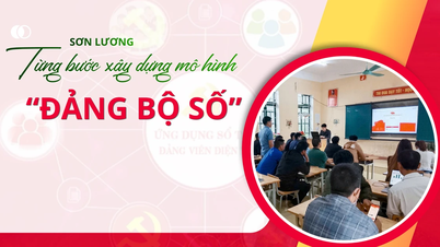 Son Luong sta gradualmente costruendo un modello di "Comitato di partito digitale".