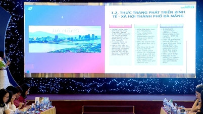 Consultazioni sullo sviluppo di Da Nang secondo il modello di "Città della Cura".