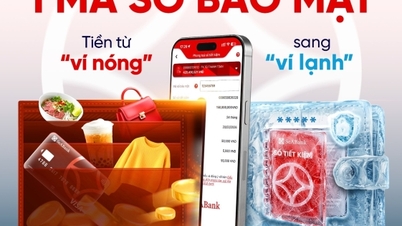 SeABank rafforza la protezione dei depositi online contro le frodi ad alta tecnologia.
