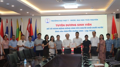 タイグエン大学医学薬学部の学生たちが、溺水による心停止を起こした少年を勇敢にも救助した。