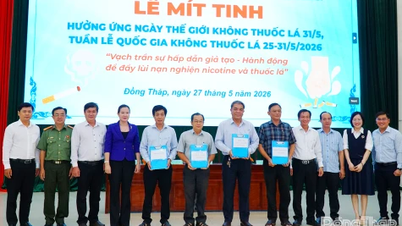 Dong Thap: Organizing a rally to commemorate World No Tobacco Day 2026.