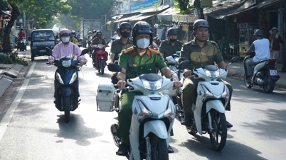 Una comune di Ho Chi Minh City ha tracciato 16 km di linee sui marciapiedi e ha lanciato una campagna per catturare i cani randagi.