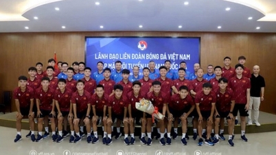 Federasi Sepak Bola Vietnam (VFF) telah memberikan tugas kepada tim U19 Vietnam di turnamen Asia Tenggara.