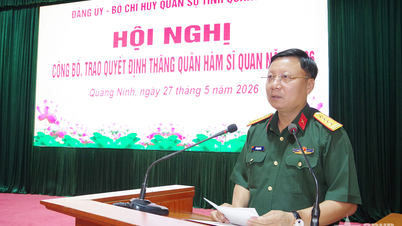 Il Comitato del Partito e il Comando militare provinciale della provincia di Quang Ninh hanno emesso la decisione di promuovere gli ufficiali a gradi superiori nel 2026.