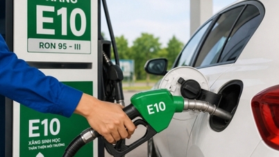 A partire dal 1° giugno 2026, la provincia di Dong Nai intensificherà la supervisione sulla vendita di benzina E10.