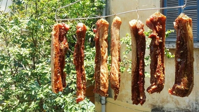 L'immagine evidenzia i rischi per la sicurezza alimentare derivanti dalla tendenza della "carne essiccata al sole".