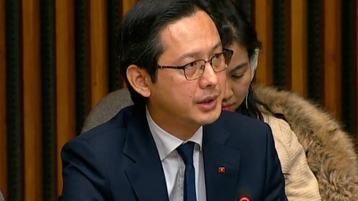 Vietnam exige un mayor respeto por la Carta de las Naciones Unidas.