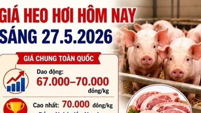 Prezzo della carne di maiale oggi, 27 maggio 2026: Dong Nai e Hung Yen rimangono a 70.000 VND/kg.