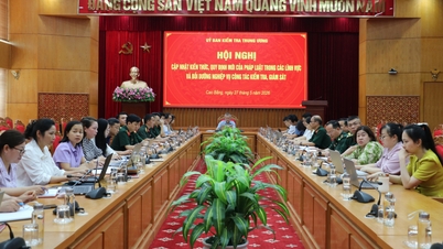 Il Comitato Centrale di Ispezione aggiorna le proprie conoscenze e le nuove normative legali, e fornisce formazione professionale in materia di ispezione e supervisione - Cao Bang Online Newspaper.