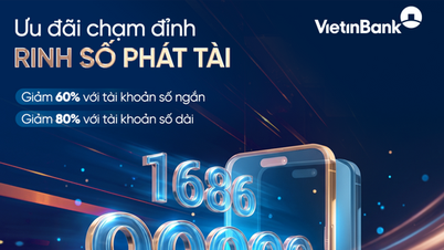 Cogli l'occasione di avere un numero di conto esclusivo grazie alla più grande promozione dell'anno di VietinBank.