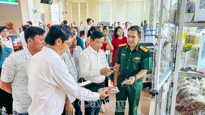 ការដាក់ឱ្យដំណើរការ "ទីផ្សារឌីជីថលសហគមន៍"